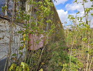 Rekonstrukce střešního pláště průmyslové výrobní haly